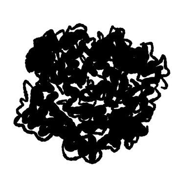 Detailed Carnation Flower Head Silhouette Vector