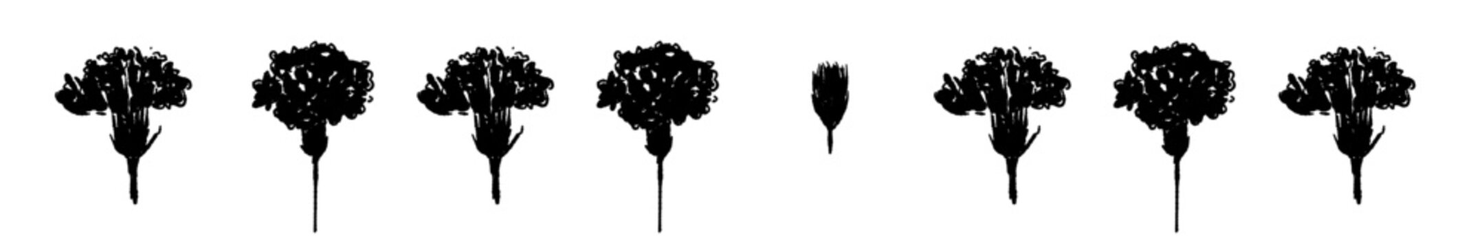 Carnation Flower Divider Line Monochrome Vector