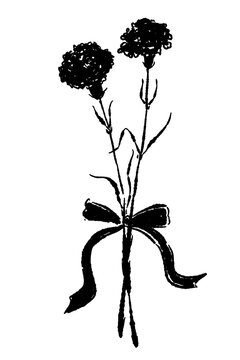 Leafy Carnation Flower Stem Monochrome Vector
