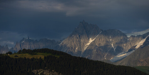 Fototapeta premium Summer view of the Mont Blanc massif above forested slopes 