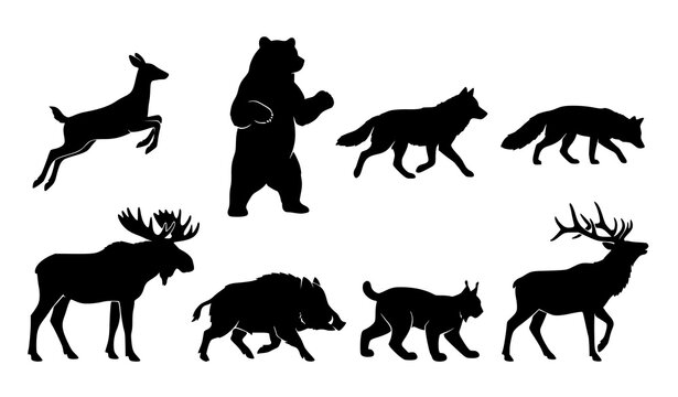 Black Forest Wildlife Silhouette Set with Deer Bear Wolf Fox Moose Boar Lynx and Elk in Natural Poses