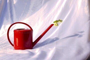 red watering can with flowers placed on a drying silk sheet © Kristina