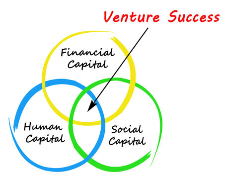 What drive venture success