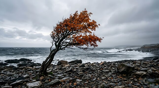 A lone tree with orange leaves on a rocky beach with a stormy sea