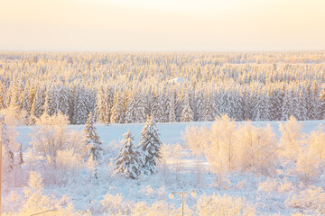 Calm winter arctic landscape. View of a snow-covered forest. © lizavetta