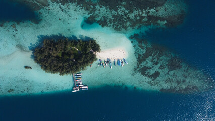 Aerial top-down view of a small tropical island with a white sand beach, lush green trees, and colorful boats anchored in crystal-clear turquoise coral reef water. © Tati