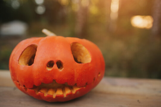 Ghost pumpkins on Halloween. ead Jack on an autumn background. Holiday outdoor decorations