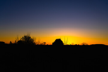 Sunset Glow Behind a Silhouette of Trees © 📷Guayamiz✨