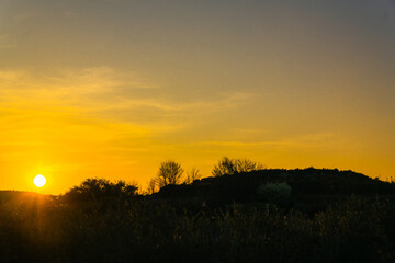 Golden Sunset Over a Distant Tree Covered Hill © 📷Guayamiz✨