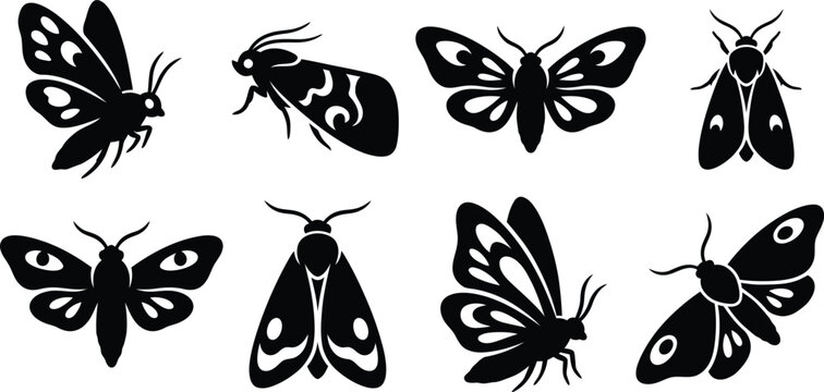 Apple Moth Silhouette Vector Set - Codling Moth & Night Butterfly Insect Clipart Bundle