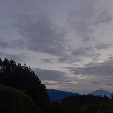 Mountain Landscape and Pine Forest Under a Cloudy Sky in West Java Indonesia