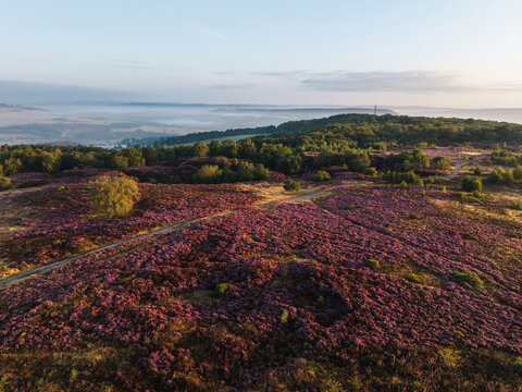 Beautiful drone landscape image over Stanton Moor in Summer Heather sunrise