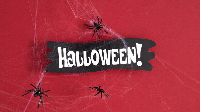 Horizontal Halloween background with sign, black spiders and creepy cobweb on red backdrop. Flat lay composition with copy space. Spooky festive banner or party invitation template for october.