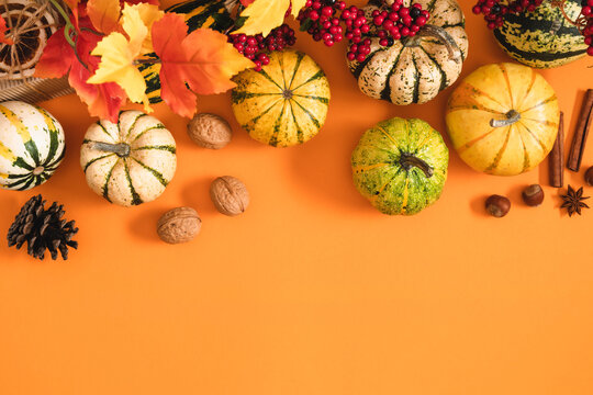 Horizontal autumn border with colorful pumpkins, fall leaves, pine cone, berries and spices on orange background. Flat lay thanksgiving backdrop or seasonal greeting card layout with copy space.