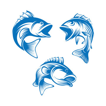 Flat vector collection set of three leaping bass fish.