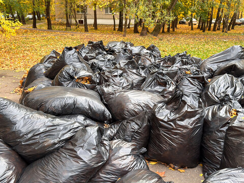 Huge pile of black plastic garbage bags with autumn leaves