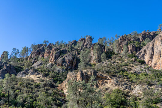 Rock Formations and Trees in Pinnacles National Park