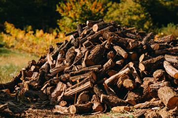 Fototapeta premium pile of cut firewood logs stacked outdoors in sunlit autumn clearing with blurred trees and golden foliage