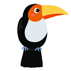 toucan on a branch © Sagge