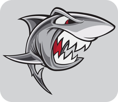Shark