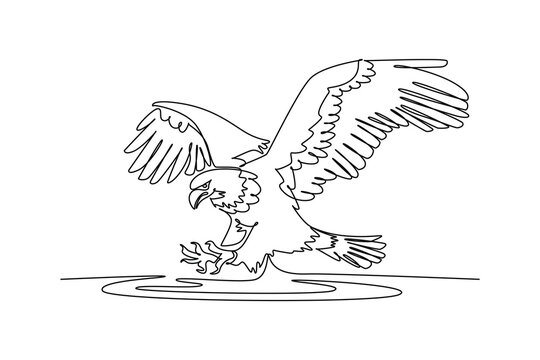Continuous one line drawing majestic eagle swooping down over water with talons outstretched to strike, showcasing predatory forest raptor wildlife. Single line draw design vector graphic illustration