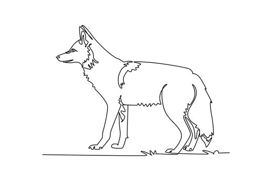 Continuous one line drawing a wild coyote standing alert and attentive in profile view, featuring erect ears, bushy tail, and sleek canine posture. Single line draw design vector graphic illustration