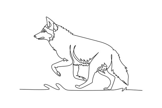 Single one line drawing wild coyote or wolf trotting stealthily through a deciduous forest floor. Bushy tail, alert pointed ears, agile motion. Continuous line draw design graphic vector illustration