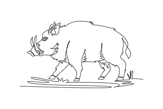 Continuous one line drawing wild boar walking steadily across a grassy woodland clearing. Sturdy body, curved tusks, pointed snout, and hairy coat. Single line draw design vector graphic illustration