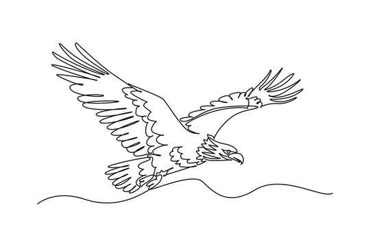 Continuous one line drawing majestic bald eagle or hawk soaring gracefully with outstretched wings. Predatory avian power of woodland, forest skies. Single line draw design vector graphic illustration