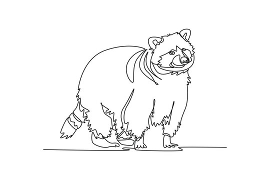 Single continuous line drawing fluffy wild raccoon standing on the woodland floor, showcasing it distinct facial mask, striped ringed tail, dense coat. One line draw graphic design vector illustration