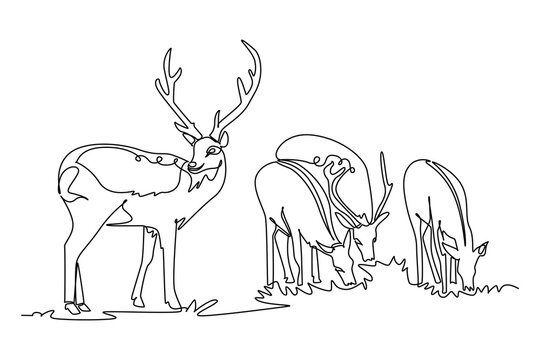 Continuous one line drawing herd of wild deer in meadow, featuring majestic stag standing guard with grand antlers while the other graze peacefully. Single line draw design vector graphic illustration