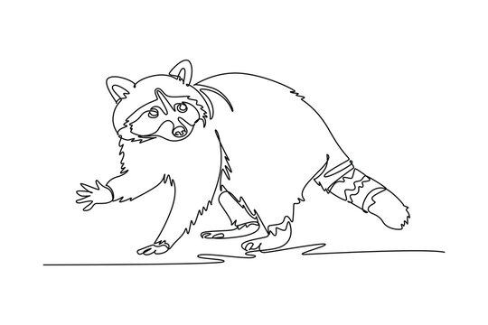 Single continuous line drawing animal wild raccoon lifting it front paw, capturing deciduous forest wildlife biodiversity, ringed tail mammal creature. One line draw graphic design vector illustration