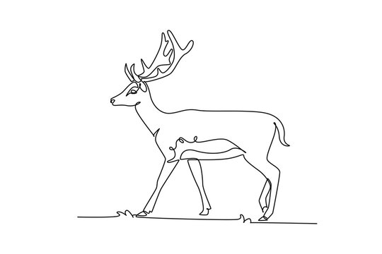 Single one line drawing deer animal walking calmly across grass. Deciduous forest wildlife biodiversity, branched antler horns, woodland fauna. Continuous line draw design graphic vector illustration