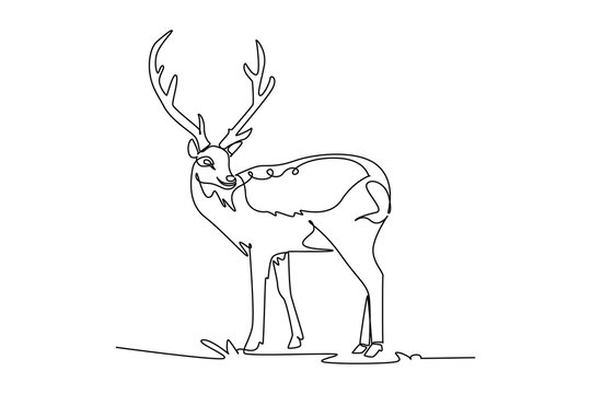 Single continuous line drawing elegant wild deer or stag standing gracefully in grass with large antlers, highlighting forest wildlife, noble nature. One line draw graphic design vector illustration