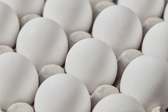 Fresh white eggs arranged in carton on gray background