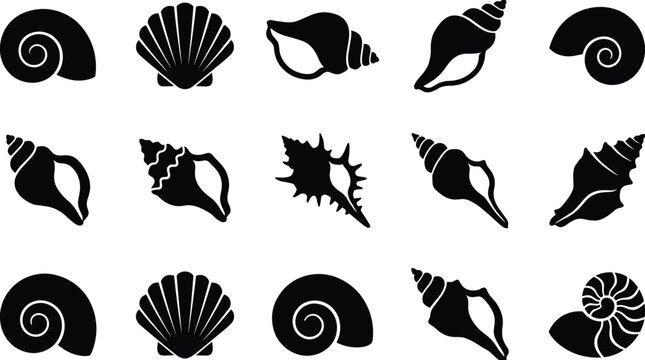Seashell silhouette icon set, scallop shell, conch, spiral snail, marine vector illustration
