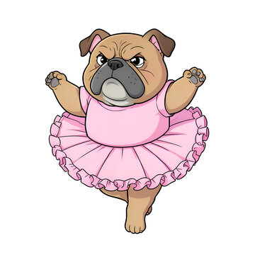 Cute Grumpy Bulldog Wearing Pink Tutu Ballet Dress Cartoon Illustration