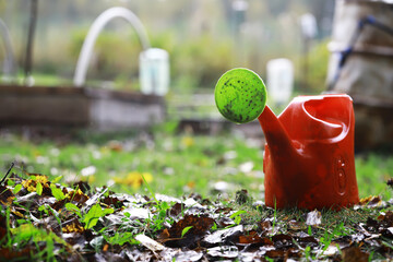 Red Watering Can on Moist Autumn Leaves in a Lush Garden Setting © alexkich