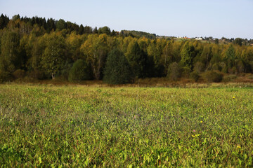 Naklejka premium Lush Green Field with Forested Hills Under Clear Blue Sky