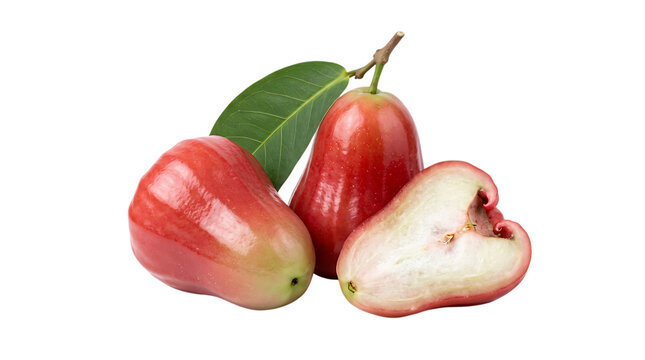 Fresh red wax apples with green leaves, a cluster of ripe rose