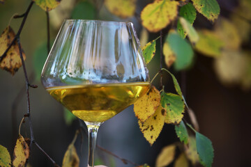 Naklejka premium Elegant Autumn Vibes: Glass of White Wine Amidst Vibrant Fall Foliage for Seasonal Celebrations