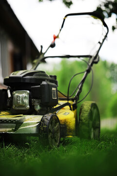 Close-Up of a Yellow Lawn Mower on Freshly Cut Grass in a Vibrant Garden Setting