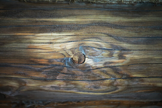 Close-Up of Weathered Wooden Log with Knots and Natural Grain Texture