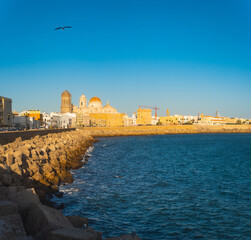 Beautiful view at day of the cathedral of Cadiz called cathedral de Santa Cruz © rastkobelic