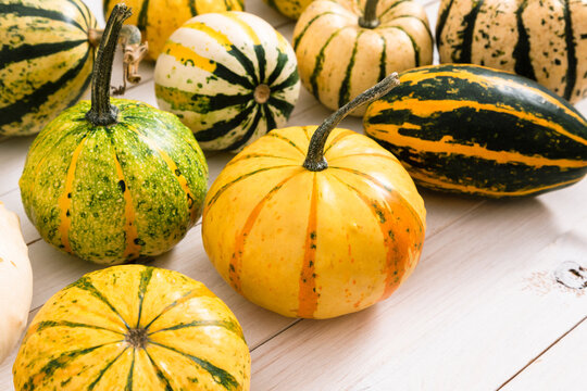 Assortment of colorful decorative mini pumpkins on a white wooden background. Festive autumn harvest with striped and speckled ornamental gourds, perfect for Thanksgiving and Halloween.