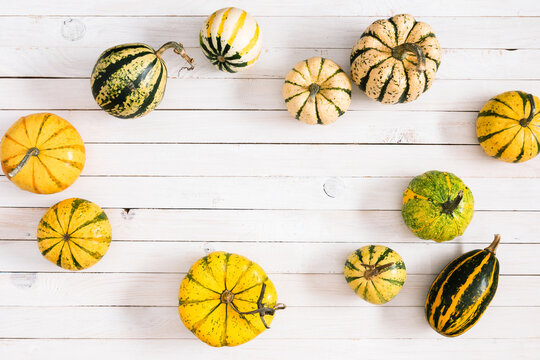 Flat lay frame of decorative mini pumpkins and ornamental gourds around copy space on white wooden table. Top view autumn harvest background with colorful squashes for Thanksgiving typography.