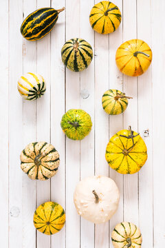 Vertical flat lay of decorative mini pumpkins and ornamental gourds on white wooden planks. Top view autumn harvest seamless pattern background with colorful squashes for Thanksgiving wallpaper.