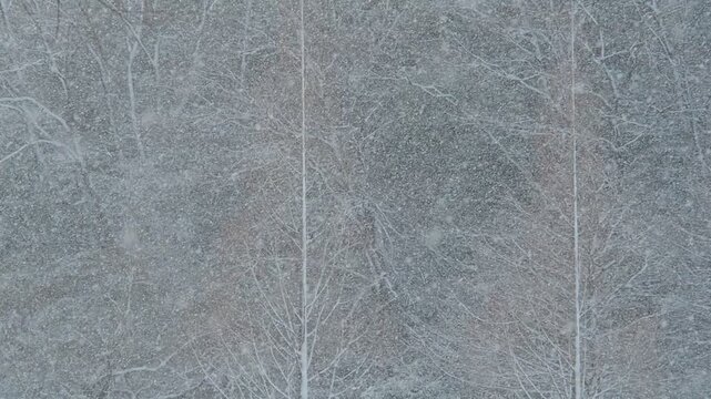 冬の朝の大雪が降る公園の雪景色