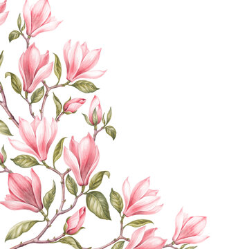 Awesome magnolia border.