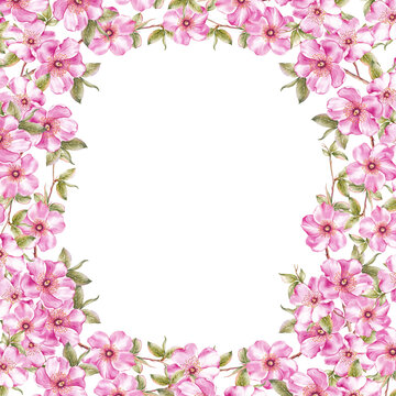 Frame of pink sakura flowers.